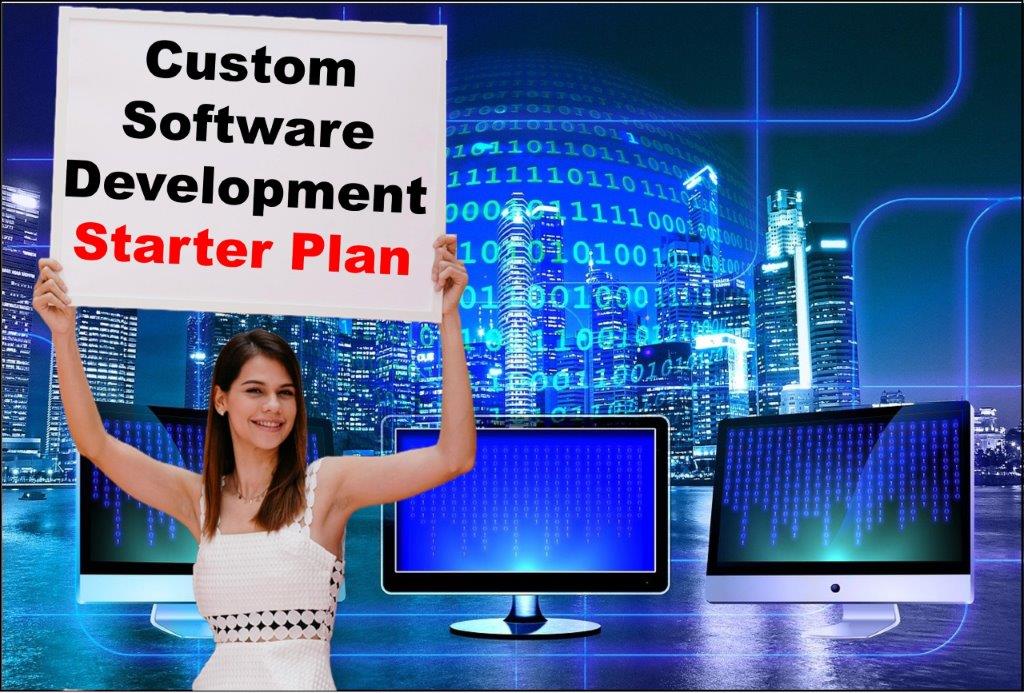 custom software development services in Phoenix Arizona
